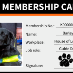 Lord Blunkett's guide dog, Barley, becomes union's fetching new member