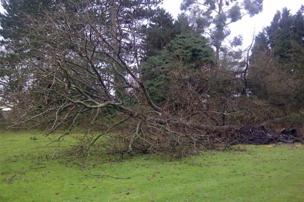 City of London Corporation announce 40 jobs at risk across London’s historic open spaces