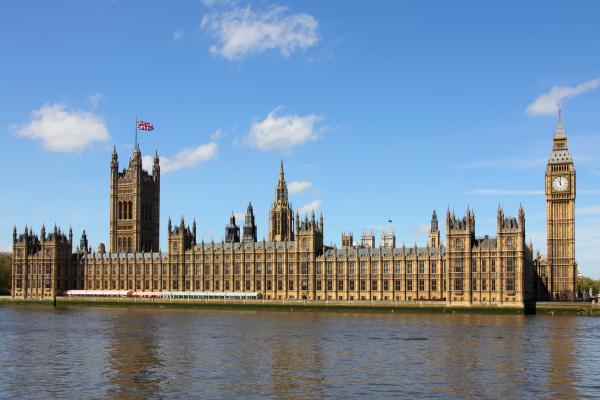 MP and Assembly Member Application